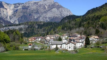 Nosellari